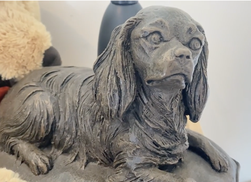 Betalen voor doodgebeten hond, puppycursus en crematie