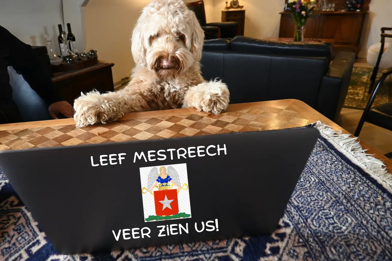 Bomen in bakken, kletskassa's en de Kluif van de maand