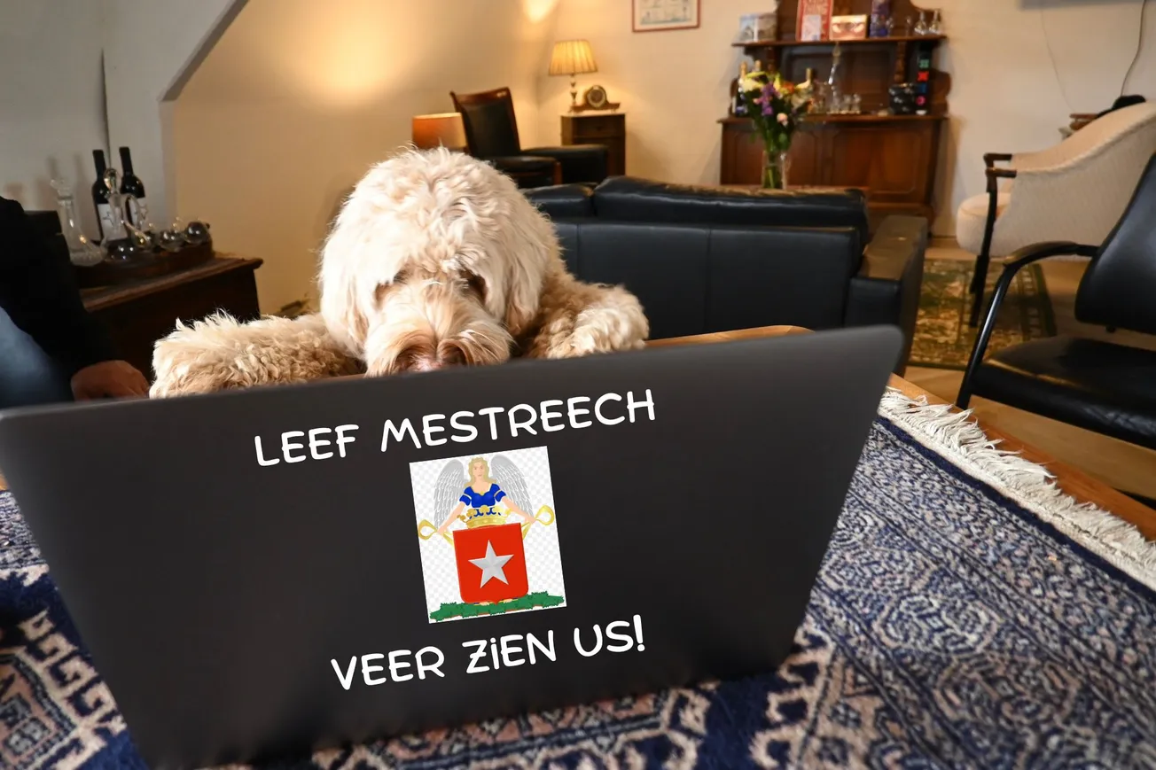 De hand van God en het zakpaaltje