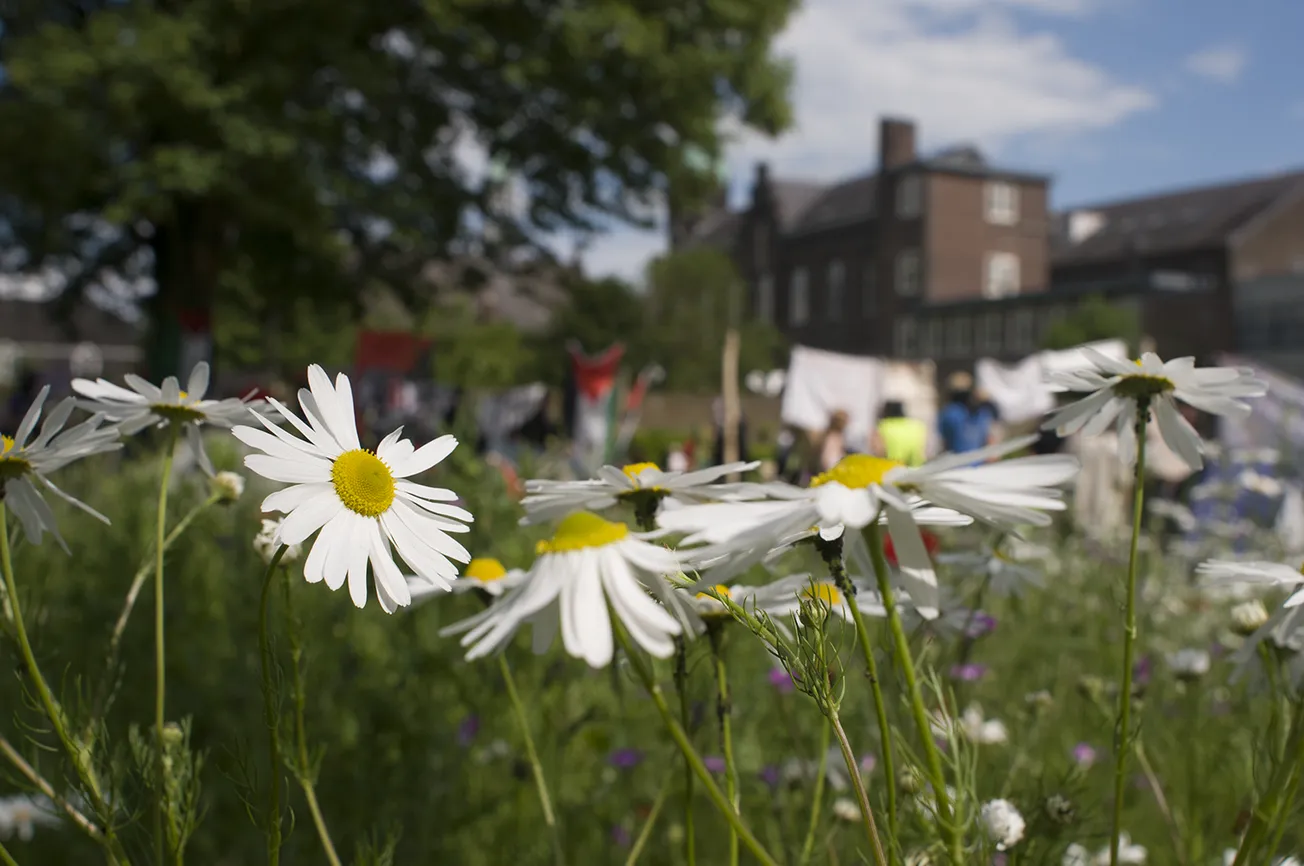 In conflict nuance als eerste gesneuveld