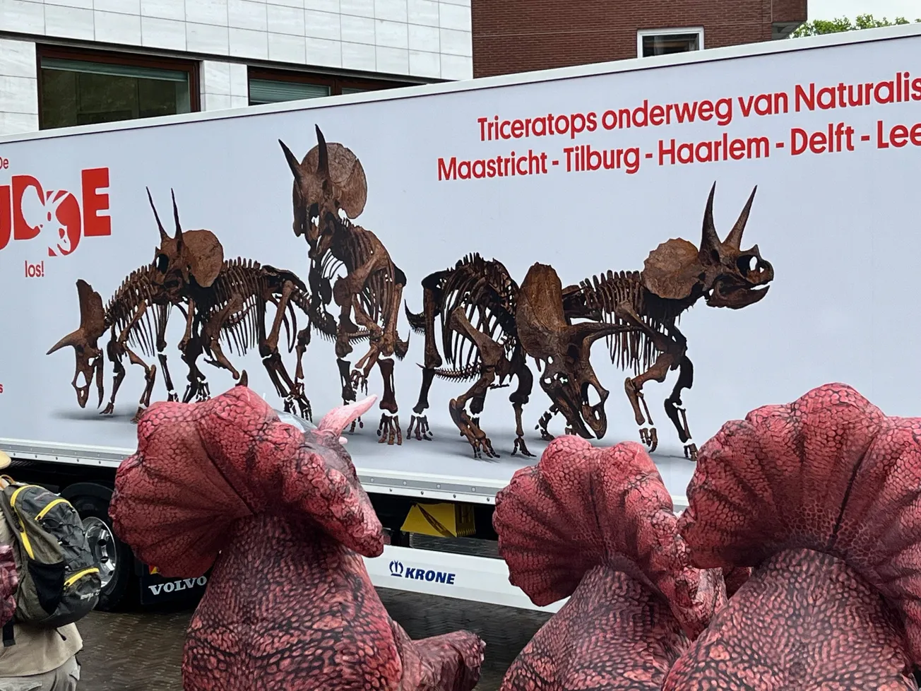 Komst dino net zo spannend als intocht Sinterklaas