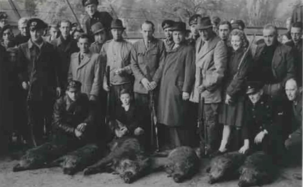 In 1947 drijfjacht op zwijnen in stadspark