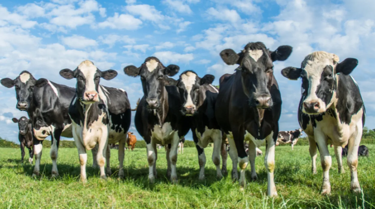 Onderzoek UM soms wereldvreemd, vaak razend interessant
