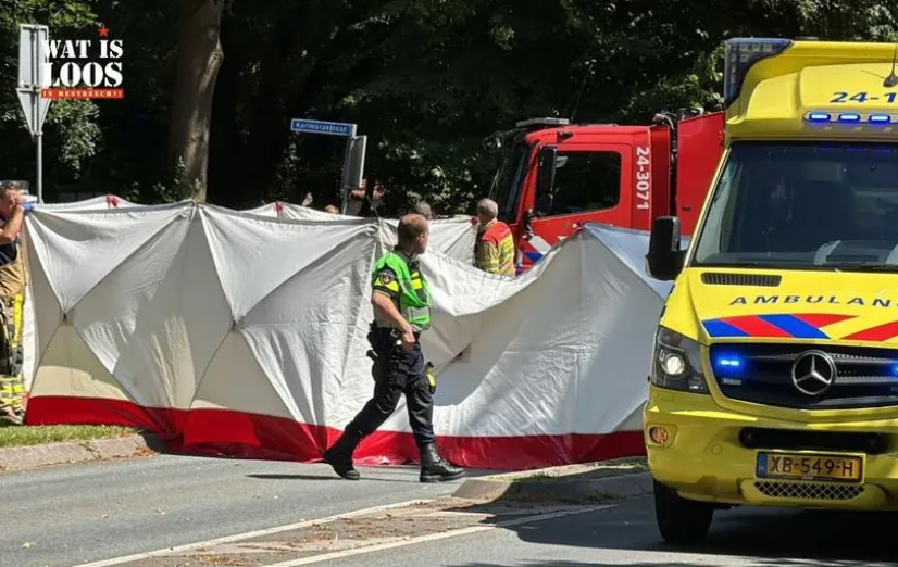 Vrouw (66) komt om na aanrijding koerier