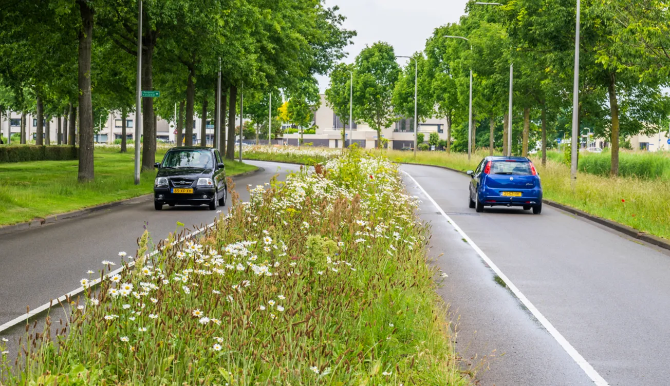 Vebego Groen kan voor 3 miljoen aan de slag