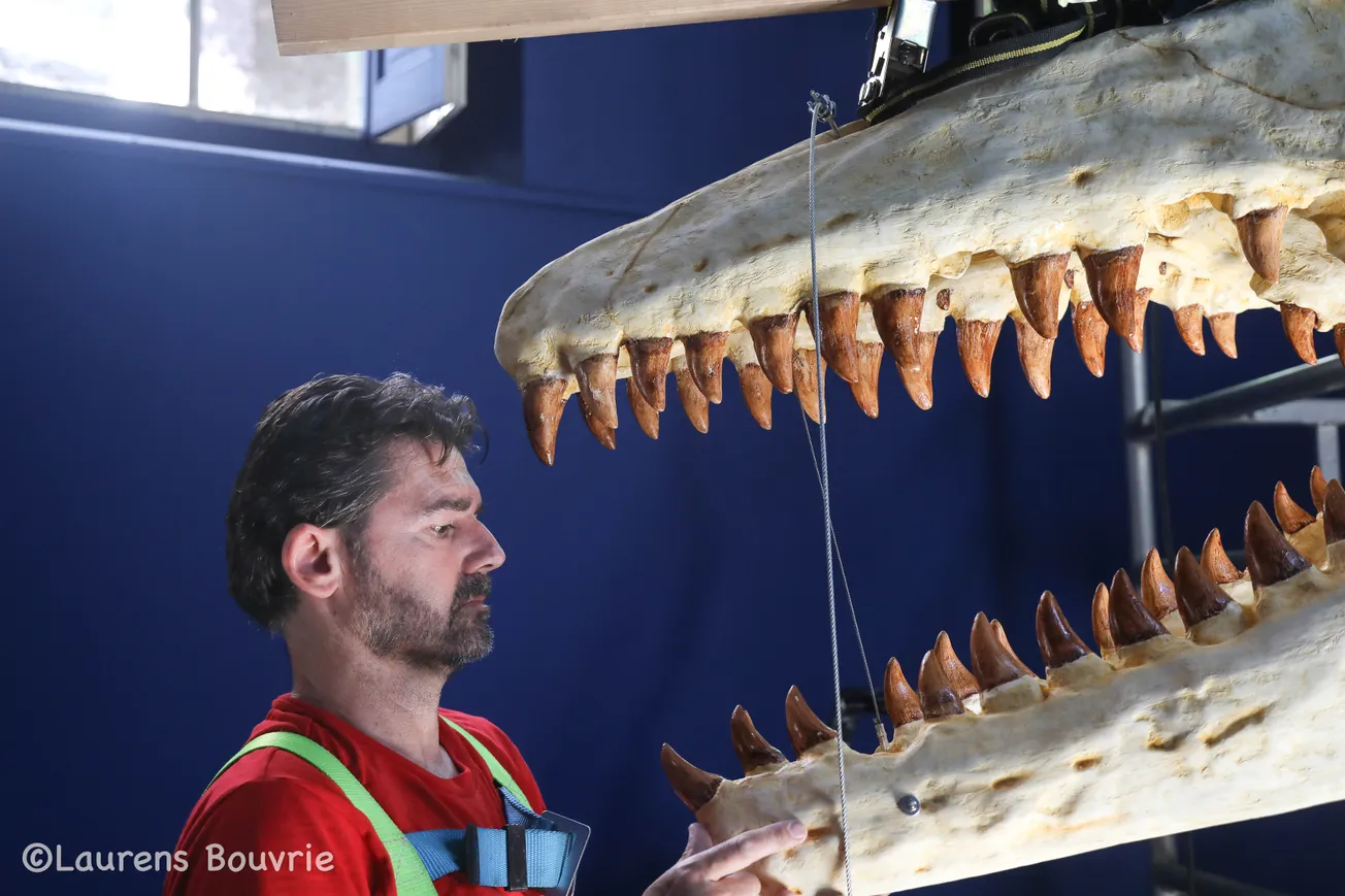 Bèr wordt dé 11 meter grote kanjer van Natuurhistorisch Museum