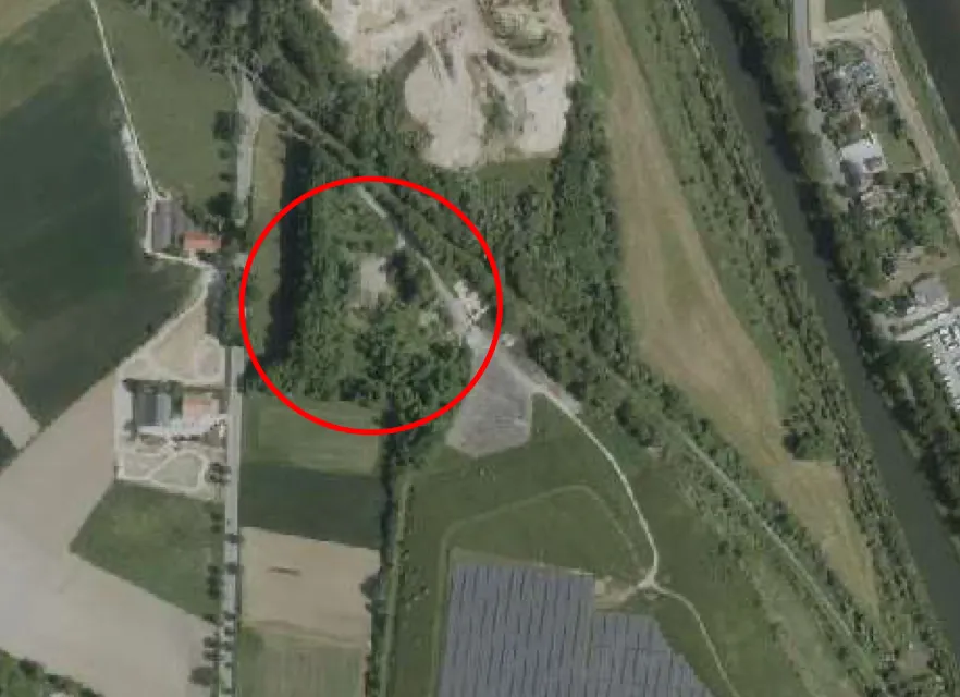 Partij voor de Dieren tegen stal schapen, voor muurhagedis