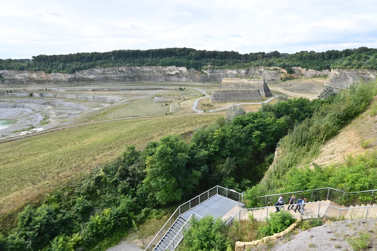 "Breng Natuurhistorisch Museum naar ENCI-groeve"