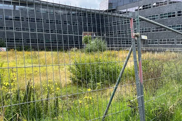24 woningen op braakliggend terrein Jonkheer Ruysstraat