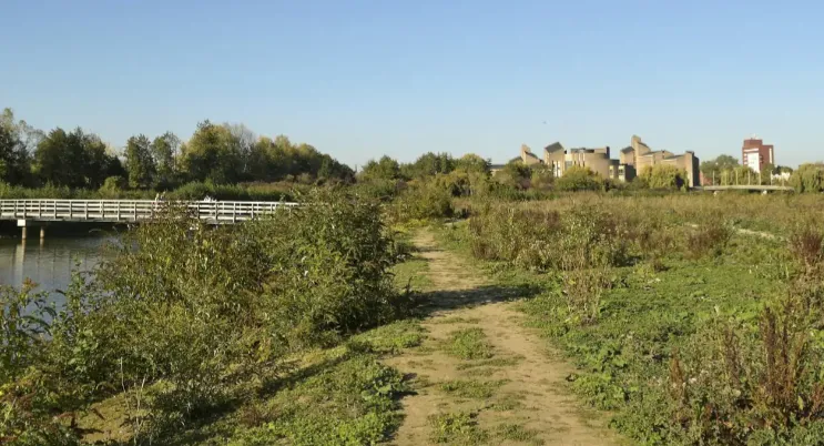 Rijkswaterstaat laat Kleine Weerd ongemoeid