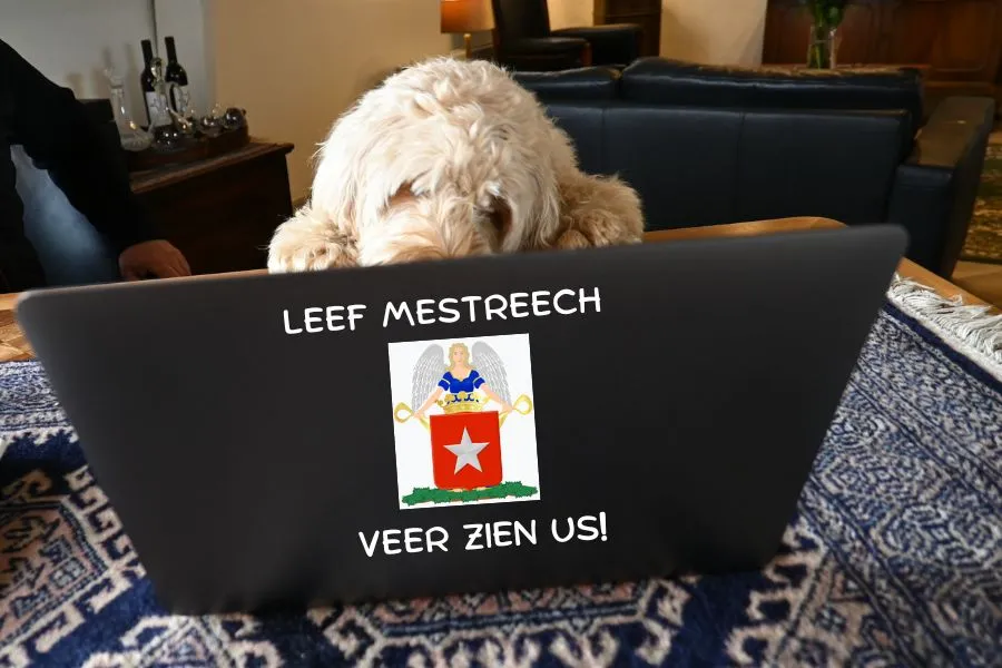 Zat de VAR ernaast tijdens domeinvergadering?