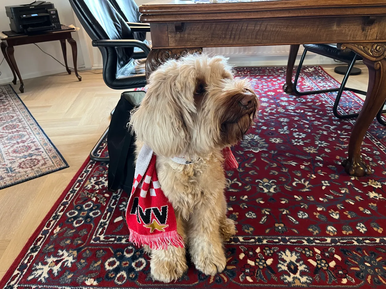 Vrijdag nog een vrouwelijke primeur bij MVV?