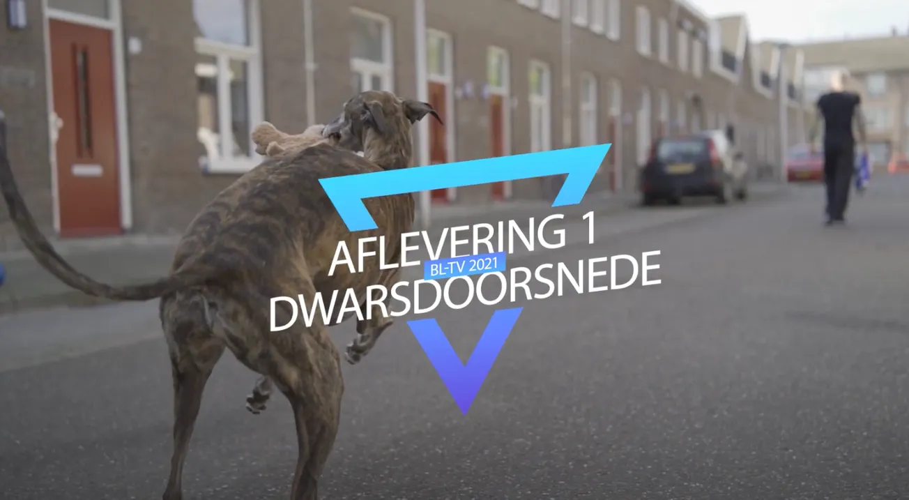 Jury kraakt inzending Blauwe Loper TV helemaal af