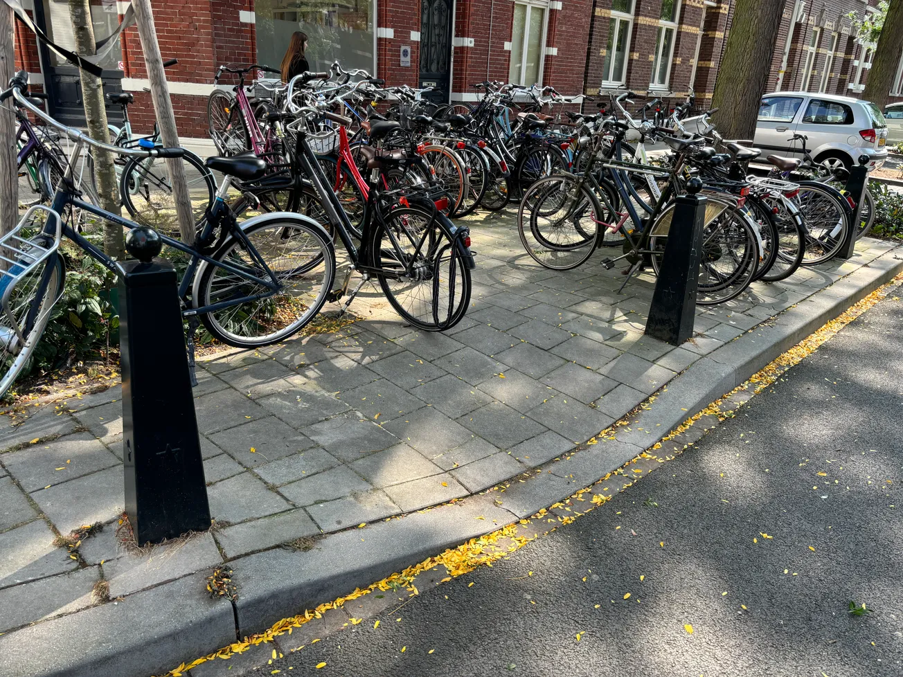 Psychologiestudenten: zet schilders in tegen fietsoverlast