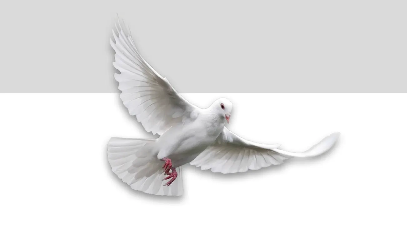 In Memoriam Annemie Stols