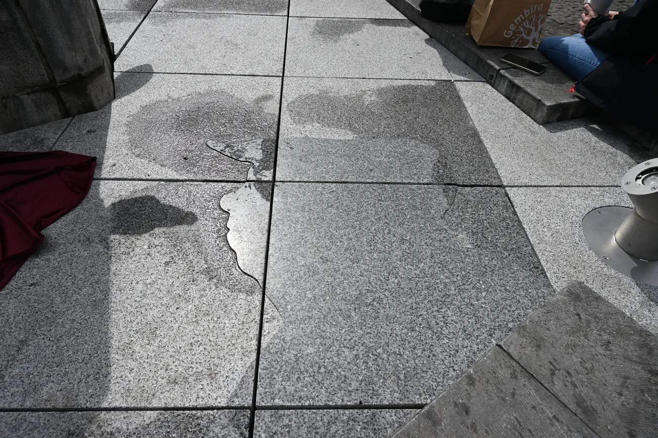 Mooswief heet eindelek häore Moosmaan