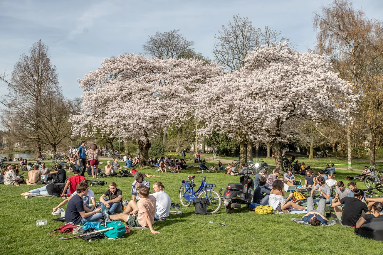 Onderzoek gedrag in Stadspark en Charles Eyckpark