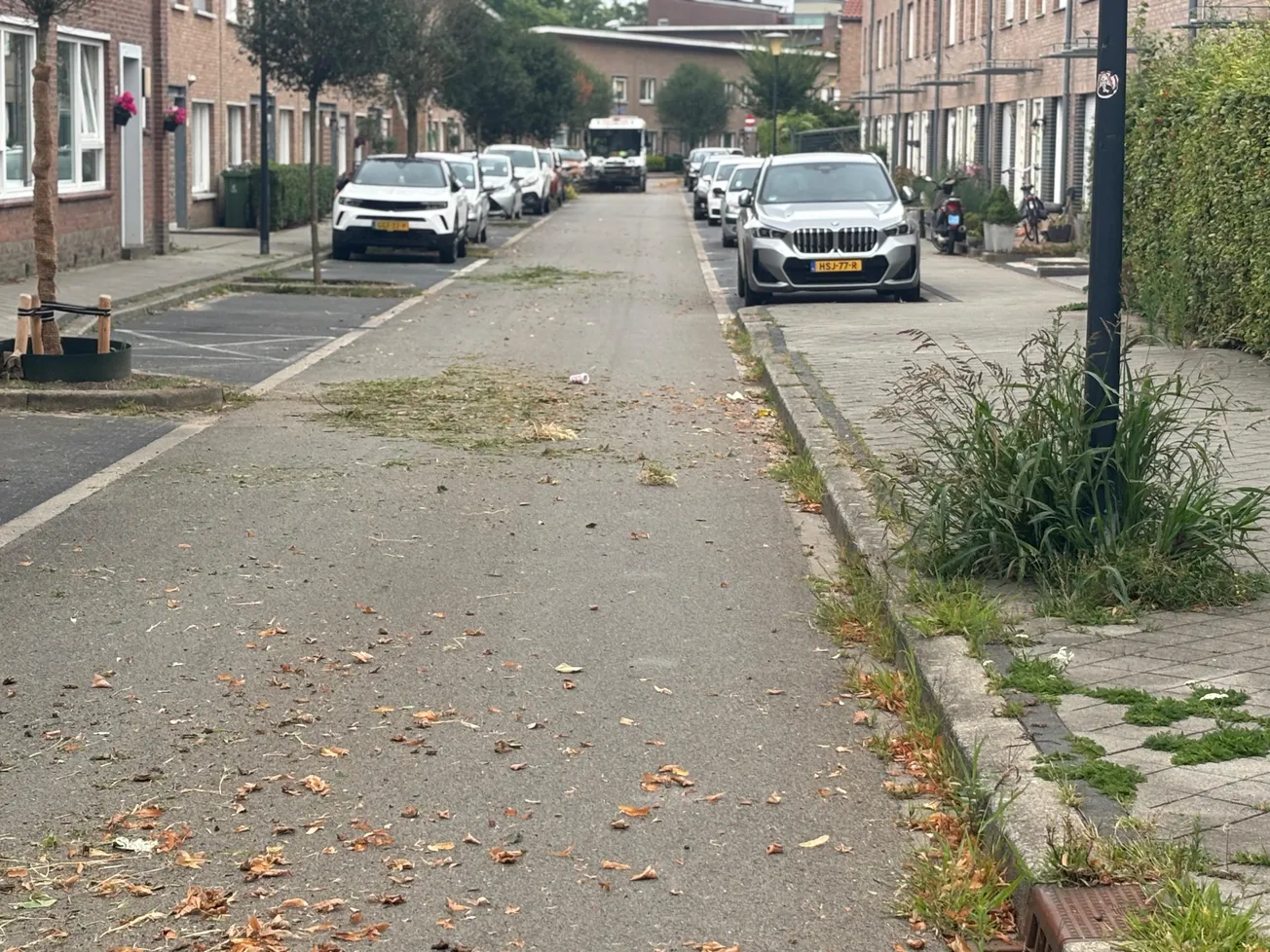 "Onkruid wijken mag 20 cm hoger (0,5 mtr) dan in centrum"