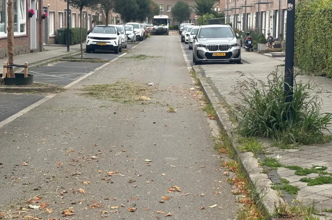 Onkruid: straten overslaan in race tegen de klok
