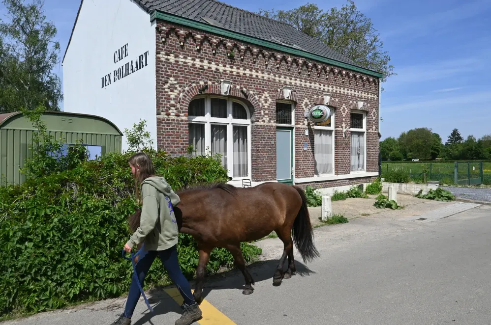 Stad koopt grond voor Ponyclub, redding kost bijna miljoen