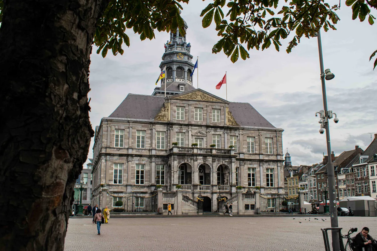 Ambtenaren regeren de stad, raad tandeloze tijger