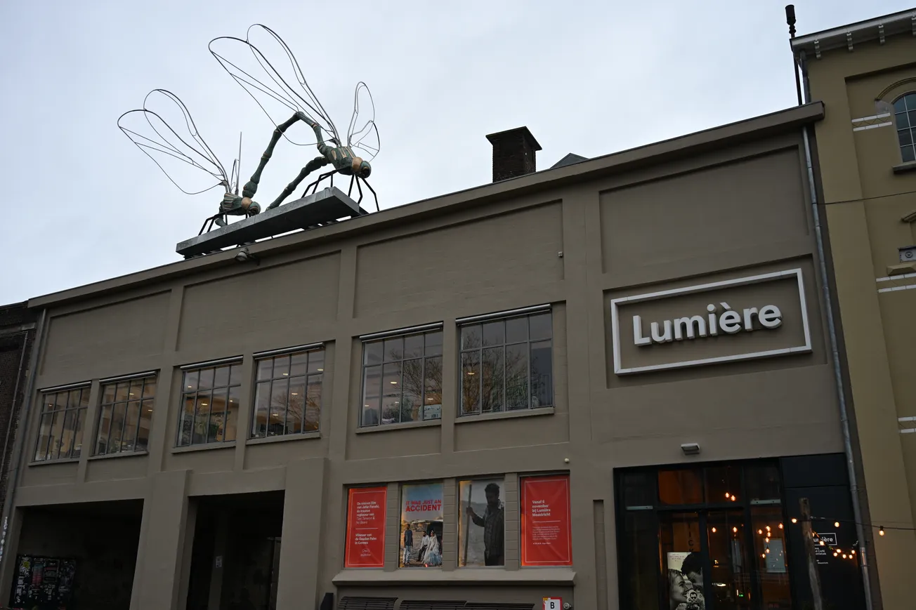 Van het water naar het dak