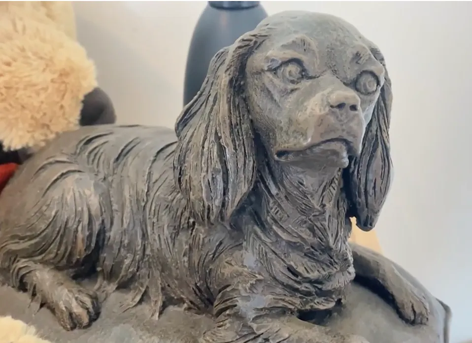 Betalen voor doodgebeten hond, puppycursus en crematie