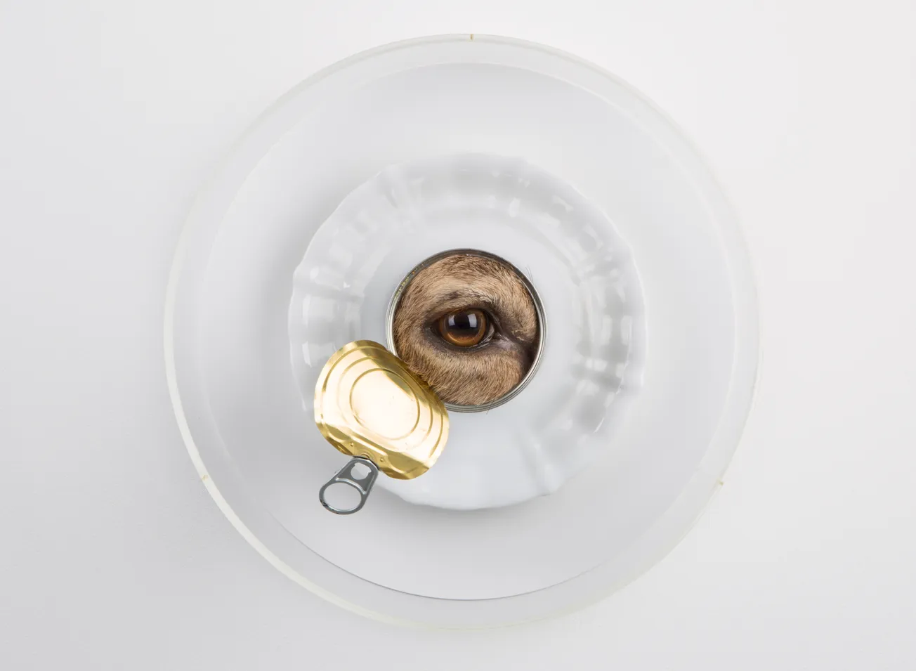 25-jarig jubileum Maastrichts kunstenaarsduo