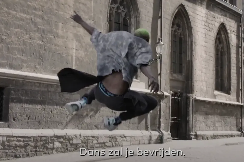 SP: Eerst raad vragen bij politiek gevoelige subsidies